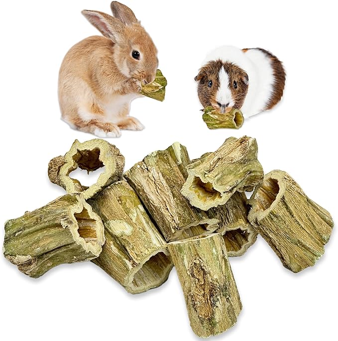 Fhiny Rabbit Chew Toys, 8 PCS 2" Natural Papaya Wood Chew Sticks Guinea Pig Treats for Dental Care Bunny Treats for Rabbits Small Pet Molar Snacks for Bunny Guinea Pig Chinchilla Hamster Gerbil-PurrikoPets