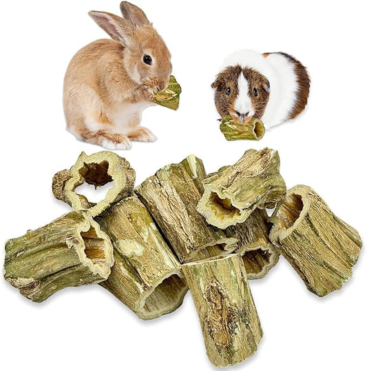 Fhiny Rabbit Chew Toys, 8 PCS 2" Natural Papaya Wood Chew Sticks Guinea Pig Treats for Dental Care Bunny Treats for Rabbits Small Pet Molar Snacks for Bunny Guinea Pig Chinchilla Hamster Gerbil-PurrikoPets