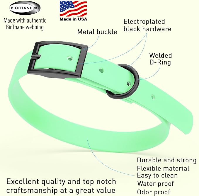 Dogline Biothane Waterproof Dog Collar Strong Coated Nylon Webbing with Black Hardware Odor- Proof for Easy Care Easy to Clean High Performance Fits Small Medium or Large Dogs, Sea Foam Green-PurrikoPets