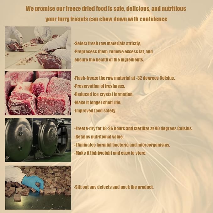 Freeze Dried Cat Treats - 100% Salmon Grain Free Raw - Natural Balance Limited Ingredient High Protein Cat Snacks 115g/4.1oz - Picky Eater Challenger-PurrikoPets