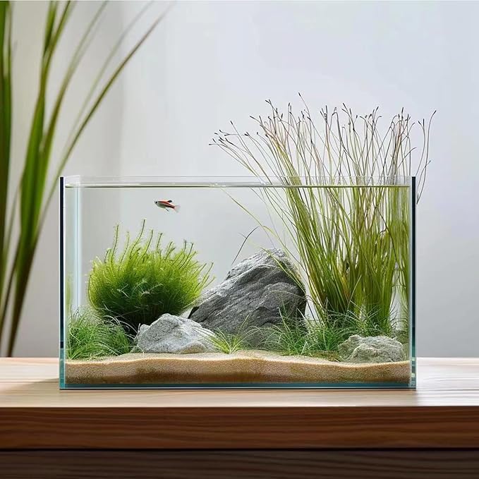 5 Gallon Glass Fish Tank, Easy to Maintain Small Aquarium for Betta/Goldfish/Snails/Shrimp and Aquatic Planting.-PurrikoPets