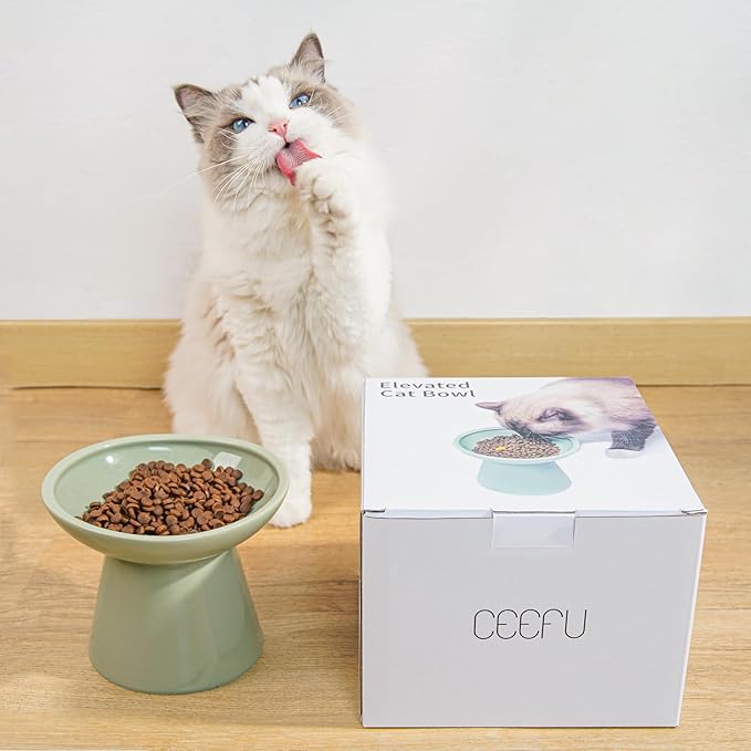 Extra Wide Elevated Ceramic Cat Bowl, 6.2" Shallow Dish for Whisker Fatigue Relief, 5" Height for Easy Feeding, Durable Raised Cat Food Bowls, Pack of 2, Sage Green-PurrikoPets