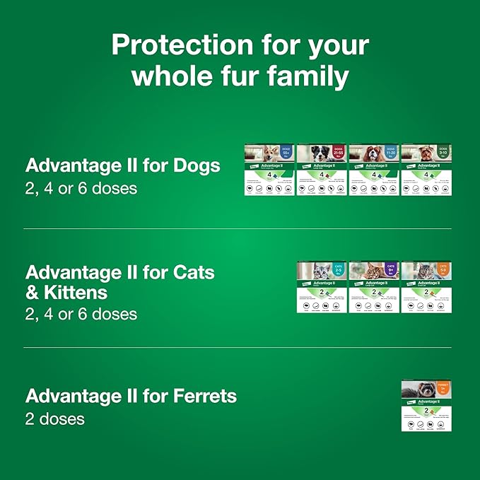 Advantage II Small Cat Vet-Recommended Flea Treatment & Prevention | Cats 5-9 lbs. | 3-Month Supply-PurrikoPets