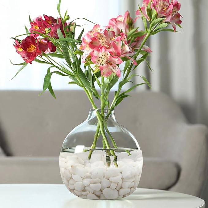 10 lbs White Pebbles for Indoor Plants, 3/8 Inch Decorative White Stones. Polished River Rocks for Potted Plants Vase Cactus Bird Bath and Outdoor Garden Landscaping-PurrikoPets