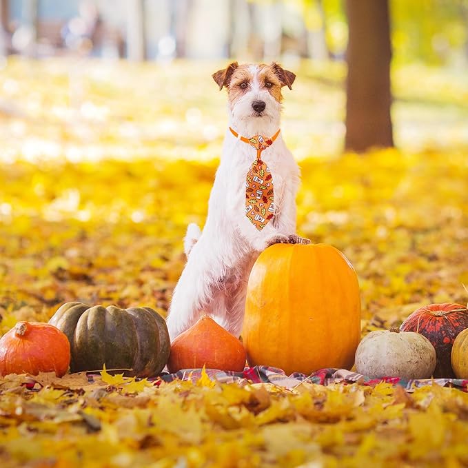 22pcs Fall Dog Bow Tie, Adjustable Bowtie Collar Attachment for Small Medium Pets, Bulk Neckties Set for Thanksgiving Day,Autumn Pet Supplies Charms Hair Costume Accessories(Maple Leaf, Pumpkin)-PurrikoPets