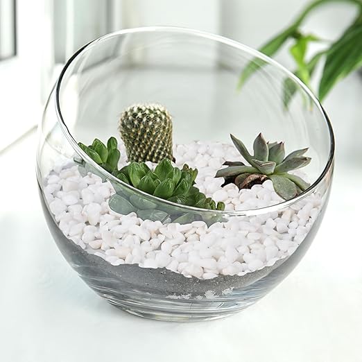 5 lbs White Aquarium Gravel, 1/5 Inch White Rocks for Plants, Small Pebbles for Vases, Succulents, Bamboo, Natural Decorative Pebbles for Plants Drainage, Cactus, Crafts-PurrikoPets
