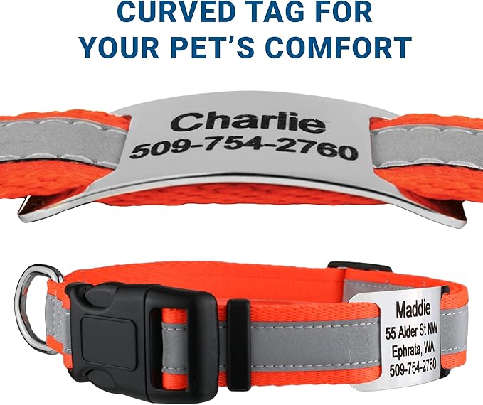 GoTags Reflective Personalized Dog Collar with Nameplate, Adjustable Dog Collar with Custom Engraved Steel Slide On Pet ID Tag, Silent, No Noise Dog Tag for Large Medium or Small (Orange, Medium)-PurrikoPets