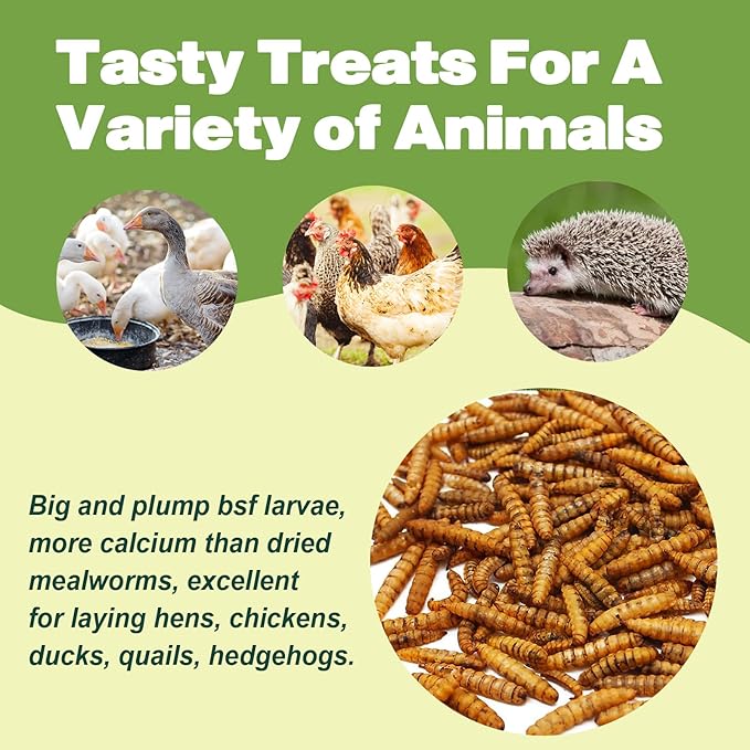 10LB Dried Black Soldier Fly Larvae, 86X Calcium Than Dried Mealworms, High Protein Non-GMO Organic Chicken Feed-PurrikoPets