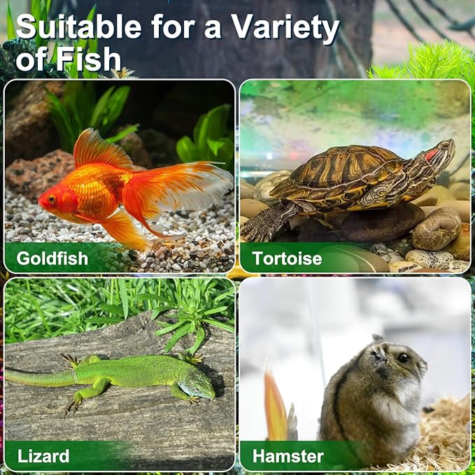 4pcs Mini Fish Tank: Portable Handheld Fish Tank Lightweight Aquarium Mini Portable Snail Terrarium Crabs Habitat for Shrimp Turtle Shrimp Goldfish Beach Toys Plastic (Random Color) 5.89X4.32X3.73In-PurrikoPets