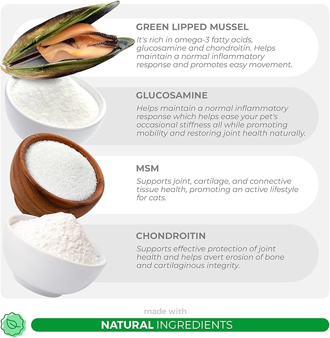 Glucosamine for Cats - 4.23oz/120g Powder - Hip and Joint Supplement for Cats with Green Lipped Mussel, MSM, Chondroitin, and Vitamin E-PurrikoPets