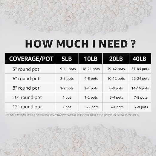 1/5 Inch White Succulent Cactus Gravel, 10 lbs – Ideal for Succulent Plant Pots, Vase Fillers, Glass Containers, Aquariums, Patios, and Outdoor Gardening River Stones (White, 10 Pounds)-PurrikoPets