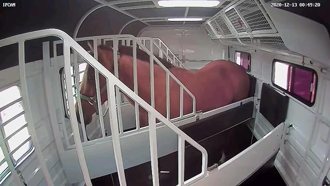 Equine Eye Voyager - Wireless Horse Trailer Camera – Live Video to Your Mobile with Night Vision, Audio - 8 Hours Battery Life - No Cell Signal Needed - Compatible with iPhone & Android Devices-PurrikoPets