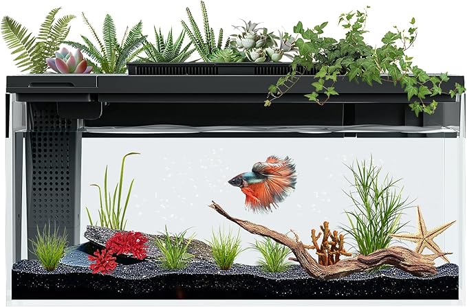 3.7 Gallon Betta Fish Tank self Cleaning,Smart Aquarium Aquarium kit with Filter Light Water Pump-PurrikoPets