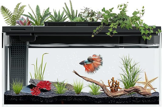 3.7 Gallon Betta Fish Tank self Cleaning,Smart Aquarium Aquarium kit with Filter Light Water Pump-PurrikoPets