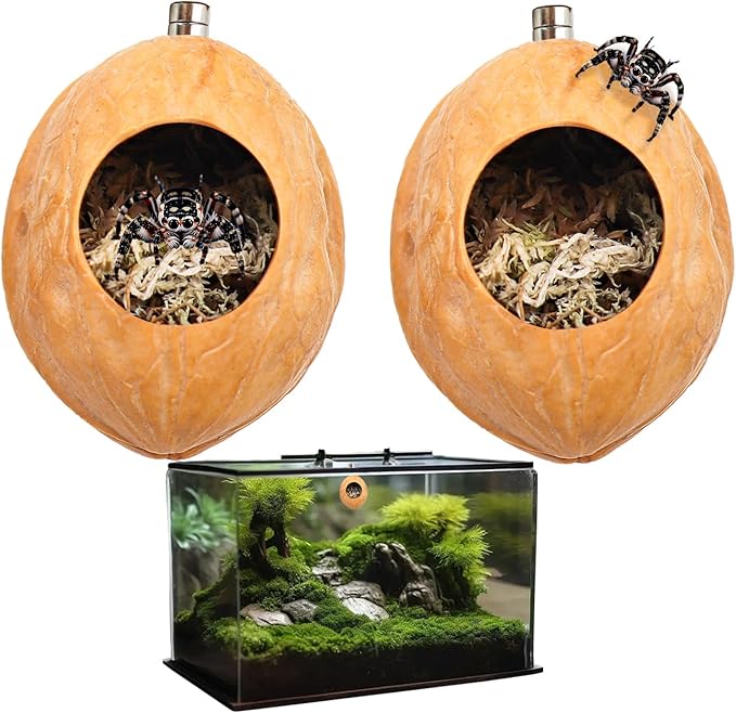 2 Pack Jumping Spider Enclosure Accessories with Walnut Shell Moss and Magnet, Natural Material Jumping Spider Hide-PurrikoPets