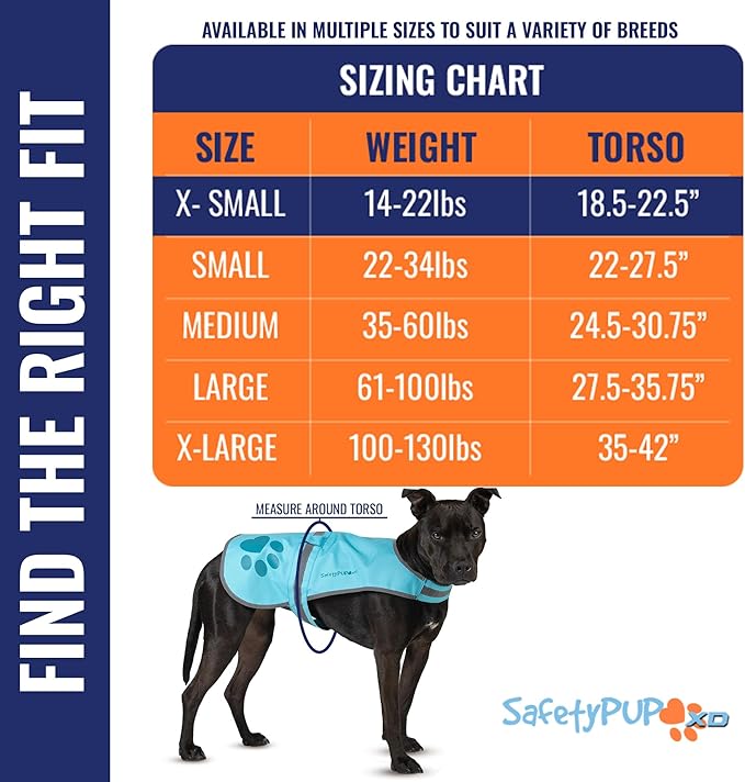 Dog Reflective Vest – Hi-Vis Fluorescent Visibility That Helps to Safeguard Your Pet On/Off Leash in Urban & Rural Areas (Teal, X-Small)-PurrikoPets