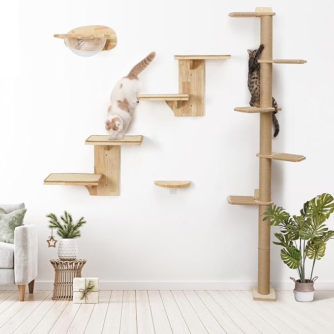 FUKUMARU Cat Wall Shelves, 2 Platform Kitten Wall Furniture, Tree Shape Wall-Mounted Floating Shelf with Sisal Mat, Solid Rubber Wood Cats Perch for 16 Inch Drywall, Suitable for Climb, Play, Nap-PurrikoPets
