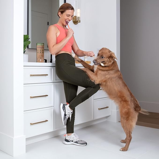 Dog Toothbrush I 4-Pack Two Sided Bamboo Toothbrush for Small and Large Dogs & Cats I Soft Bristles Gentle for Easy Dog Teeth Brushing & Dental Care-PurrikoPets