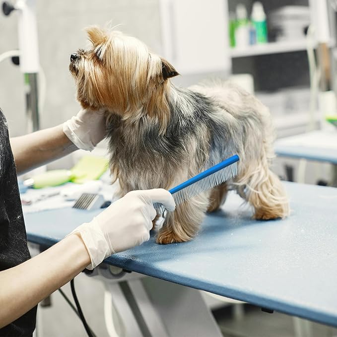 2 Pack Dog Combs with Stainless Steel Teeth Applicable to Cat Dog Comb Removing Tangles Easily Remove Dirt Grooming Anti-Slip Comfort Grip Handle （blue）-PurrikoPets