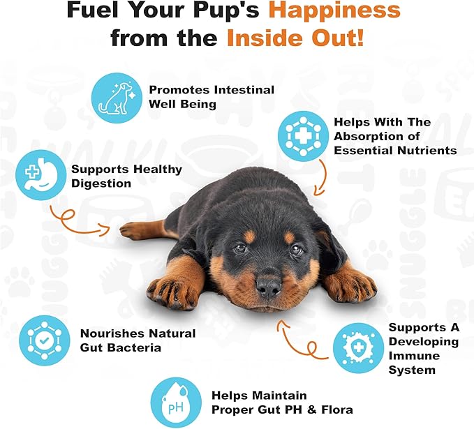 Doggie Dailies Puppy Probiotic, Probiotics for Puppies with Digestive Enzymes, Promotes Digestive Health, Supports Immune System & Overall Development (Pumpkin) 120 Soft Chews-PurrikoPets