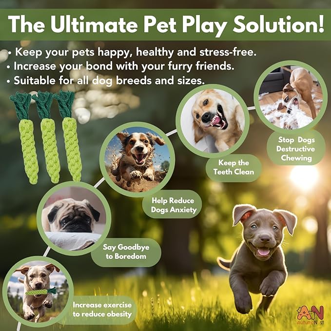 3PCS Green Woven Pet Chew Set, Dog Chew Accessories, Cat Interactive Chews, Safe & Durable Braided Chews for Dogs, Cats & More Pets-PurrikoPets