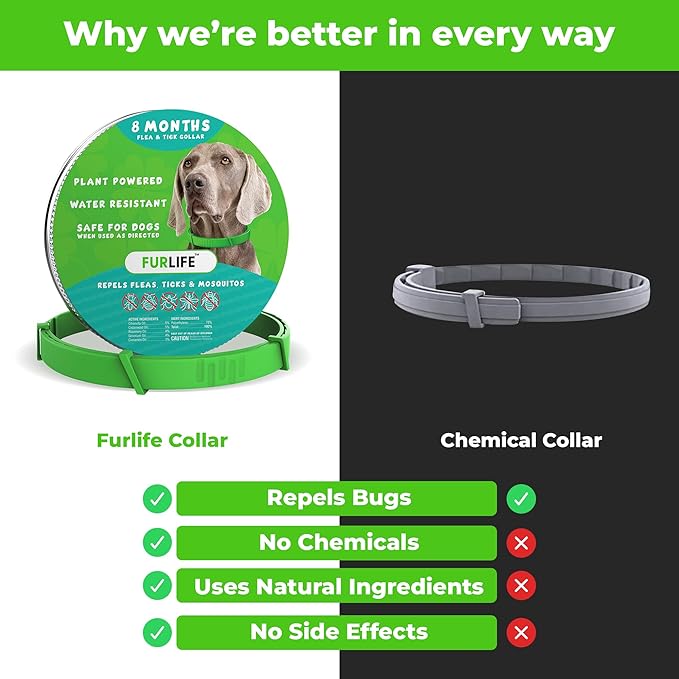 FurLife Flea and Tick Collar for Dogs – Waterproof Green Dog Collar, Pet Supplies for Tick and Flea Prevention for Dogs, Safe for All Breeds-PurrikoPets
