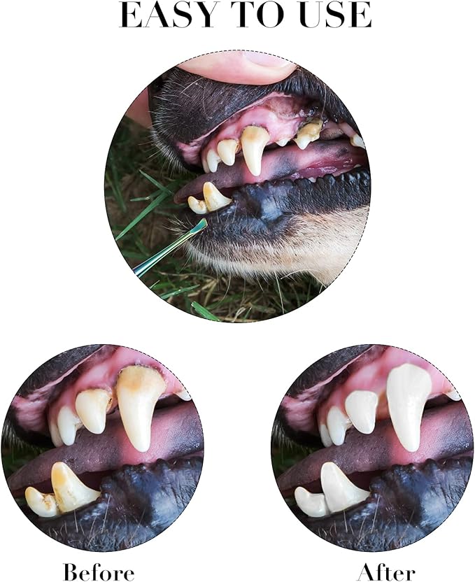 3 Pieces Dog Dental Tooth Scaler and Scraper Stainless Double Headed Tarter Removing Tool Scraper Pet Teeth Cleaning Tools for Dog and Cat (Rainbow Color)-PurrikoPets