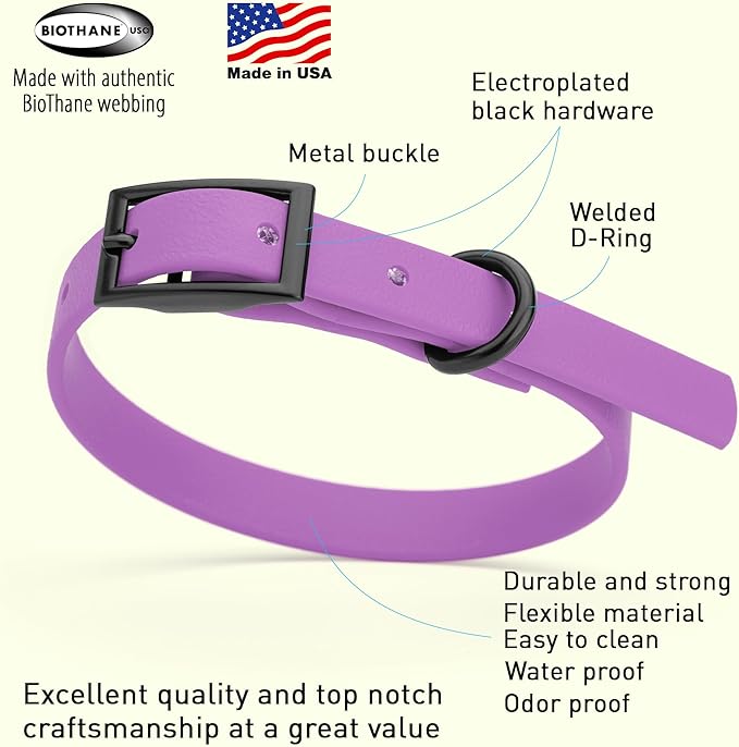 Dogline Biothane Waterproof Dog Collar Strong Coated Nylon Webbing with Black Hardware Odor- Proof for Easy Care Easy to Clean High Performance Fits Small Medium or Large Dogs, Amethyst Purple-PurrikoPets