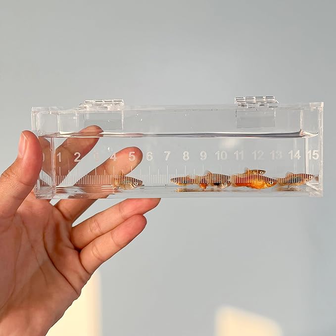 Fish Viewing Box Container with Lid and Scale, Acrylic Portable Fishing Mini Aquarium, Small Fish Breeder Hatching Boxes, Safe Tank Case for Breeding Egg Photo Isolation Outdoor Indoor-PurrikoPets