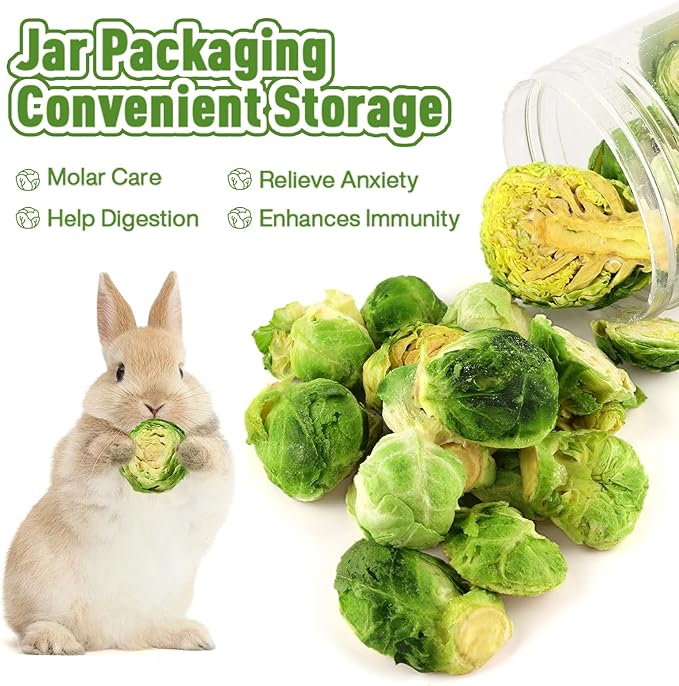 Abizoo Freeze Dried Brussels Sprouts Rabbit and Hamster Chew Treats Resealable Jar for Hamsters Bunny Guinea Pigs Groundhogs Natural Fiber Vitamin Snacks-PurrikoPets