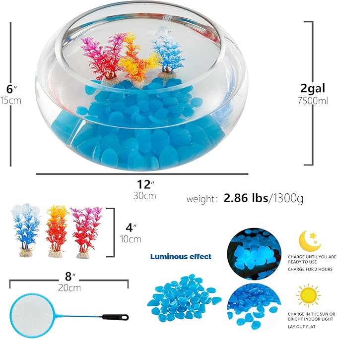 2 Gallon Glass Fish Bowl with Decor, Include Fluorescent Stones & Colorful Plastic Trees, High White Glass for Clear View, Small Fish Bowl/Vase/Aquarium for Betta Fish/Goldfish, Nice Home Décor-PurrikoPets