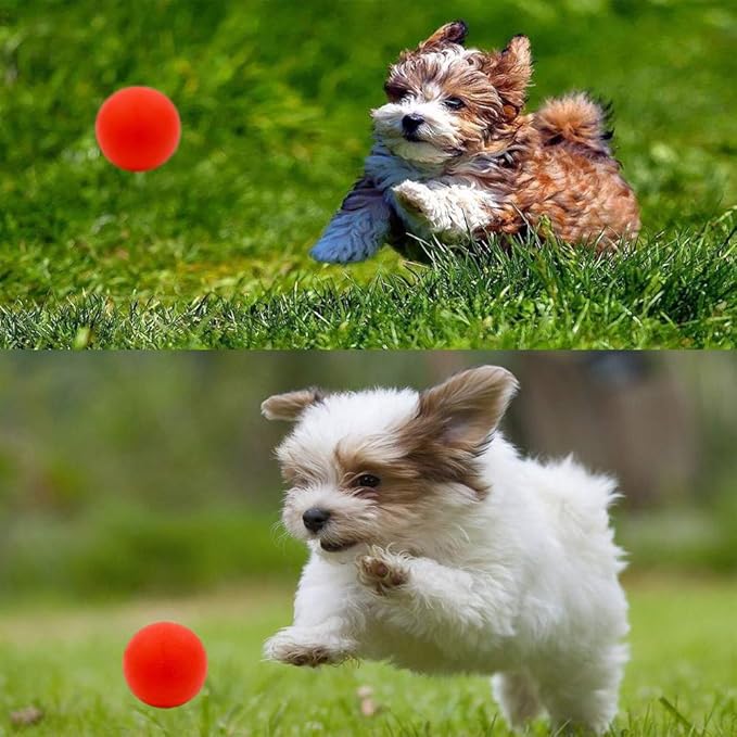 5 Different Functions Interactive Dog Toys for Puppies, Puppy Puzzle Toys for Small Dogs, Dog Balls for Small Dogs, Treat Dispensing Dog Toys, Squeaky Ball, Small Breed-PurrikoPets