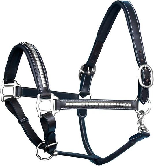 Exion Leather Horse Halter with Padding & Clincher Studs – Adjustable Quick‑Release Crownpiece Halter for Horses – Vegetable‑Tanned Leather in Black & Brown – Cob, Full & Oversize-PurrikoPets