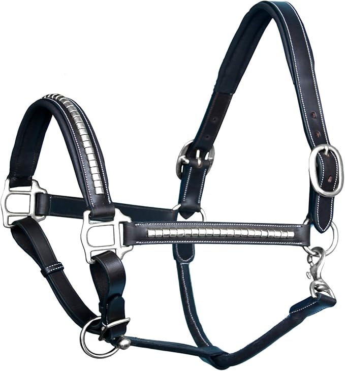 Exion Leather Horse Halter with Padding & Clincher Studs – Adjustable Quick‑Release Crownpiece Halter for Horses – Vegetable‑Tanned Leather in Black & Brown – Cob, Full & Oversize-PurrikoPets