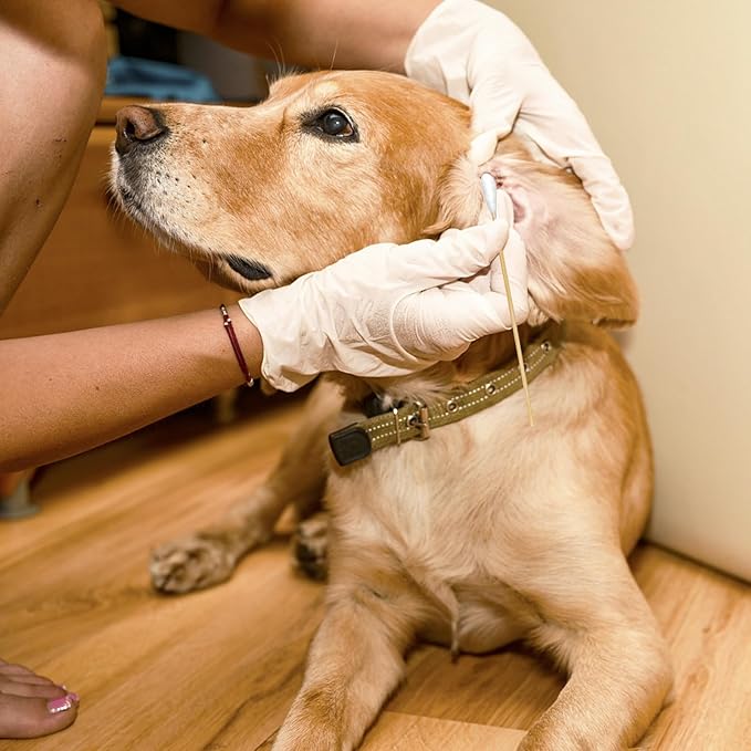 200-Pack of Long, Large Dog Ear Swabs with Bamboo Sticks: Perfect for Dog Ear Cleaning and Infection Treatment. Gentle, Effective, and Eco - Friendly for Pet Hygiene-PurrikoPets