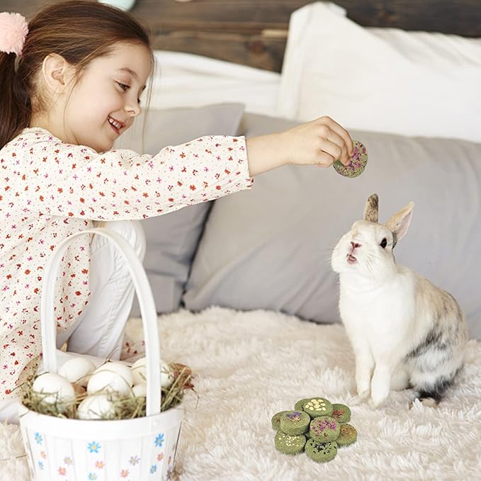 ERKOON Treats Rabbit Toys, 100% Edible Premium Timothy Hay Chew A Blocks for Rabbits, Chinchilla Treats, Chew Toys for Teeth Guinea Pigs and Mice-PurrikoPets