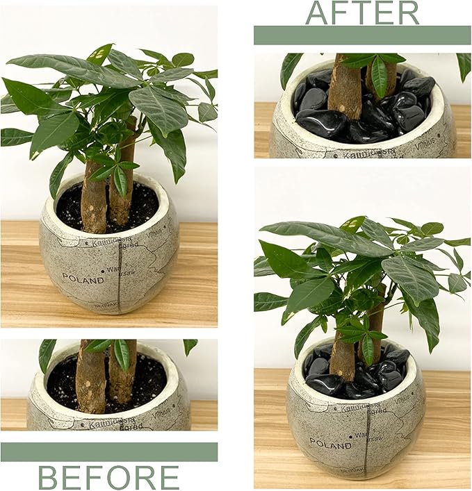 10 lb Small Pebbles for Plants, Polished Black Stones. Decorative River Rocks for Outdoor Landscaping, Vase, Aquarium and Garden-PurrikoPets