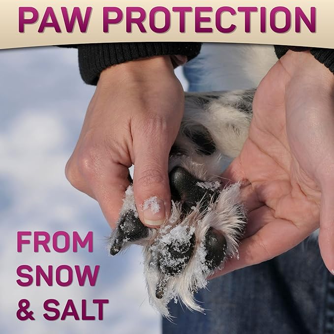 Dog Paw Balm for Dry Cracked Paws – Lick-Safe Moisturizer and Organic Paw Wax with Aloe & Vitamin E – Hot Pavement and Winter Snow Protection – Nose Safe – for All Breeds-PurrikoPets