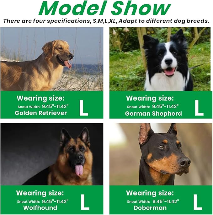 Dog Muzzle, Basket Muzzle for Small Medium Large Dogs, Anti-Biting and Chewing, Lightweight & Sturdy Cage Design, Allows Panting & Drinking, Ideal for Grooming & Training(Green Size L)-PurrikoPets