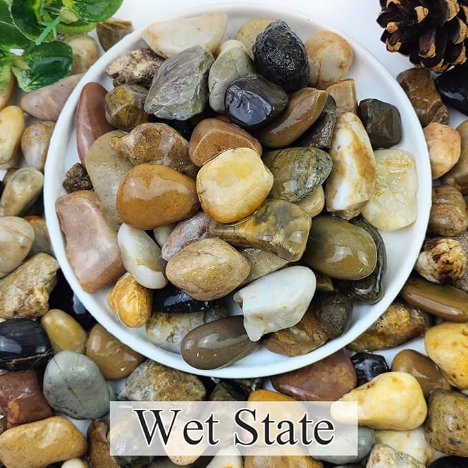 2lbs Aquarium Rocks, 5/8" Natural Mixed Pebbles for Plants Decorative Polished River Rocks for Fish Tank, Landscaping, Gardening, Flower Pots, Vase Fillers, Indoor Water Fountains,-PurrikoPets