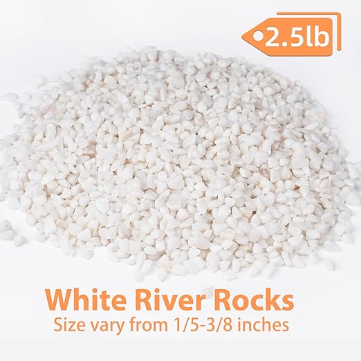 2.5 lbs White Aquarium Gravel, 1/5 Inch White Rocks for Plants, Small Pebbles for Vases, Succulents, Bamboo, Natural Decorative Pebbles for Plants Drainage, Cactus, Crafts-PurrikoPets