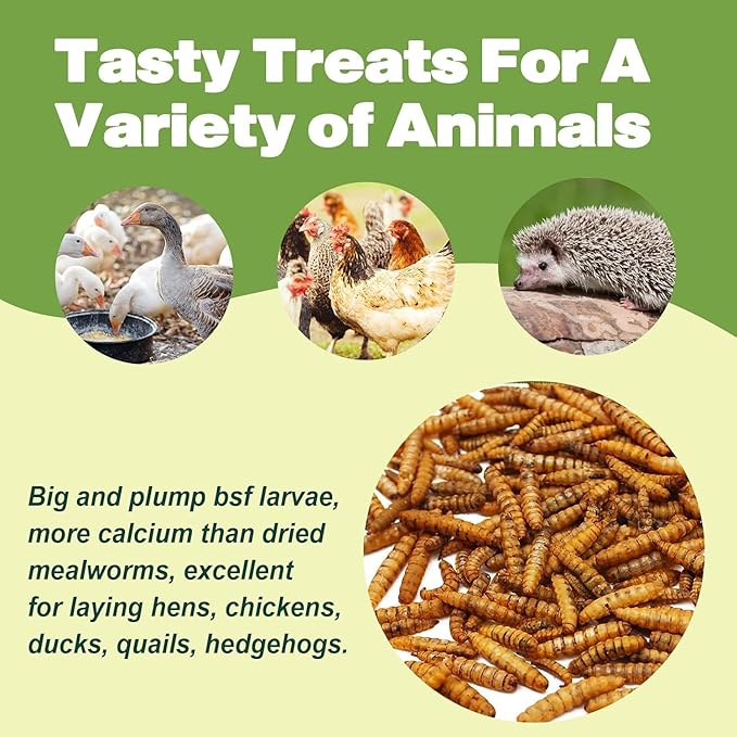 5LB Dried Black Soldier Fly Larvae, 86X Calcium Than Dried Mealworms, High Protein Non-GMO Organic Chicken Feed-PurrikoPets