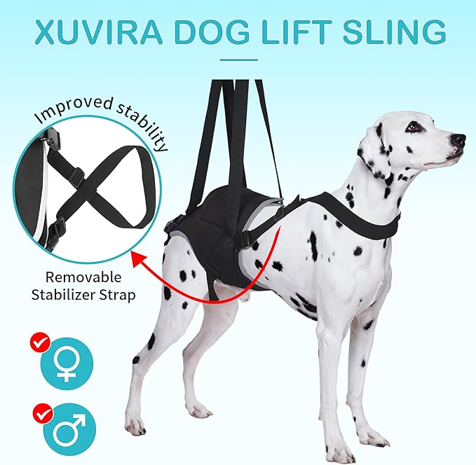 Dog Hip Support Brace – Rear Leg Lift Harness for Mobility & Post-Surgery Recovery, with Chest Straps and Adjustable Elastic Buckles, Customization-PurrikoPets