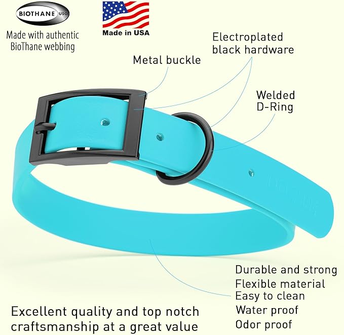 Dogline Biothane Waterproof Dog Collar Strong Coated Nylon Webbing with Black Hardware Odor- Proof for Easy Care Easy to Clean High Performance Fits Small Medium or Large Dogs, Sky Blue-PurrikoPets