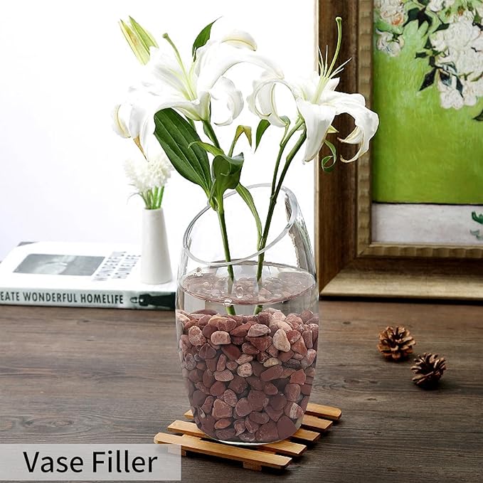 2 lbs Succulent and Cactus Pebbles Gravel, 3/8 Inch Decorative Red River Rocks for Plants Indoor, Vases, Terrarium, Potted Top Dressing and Outdoor Decorative Stones-PurrikoPets