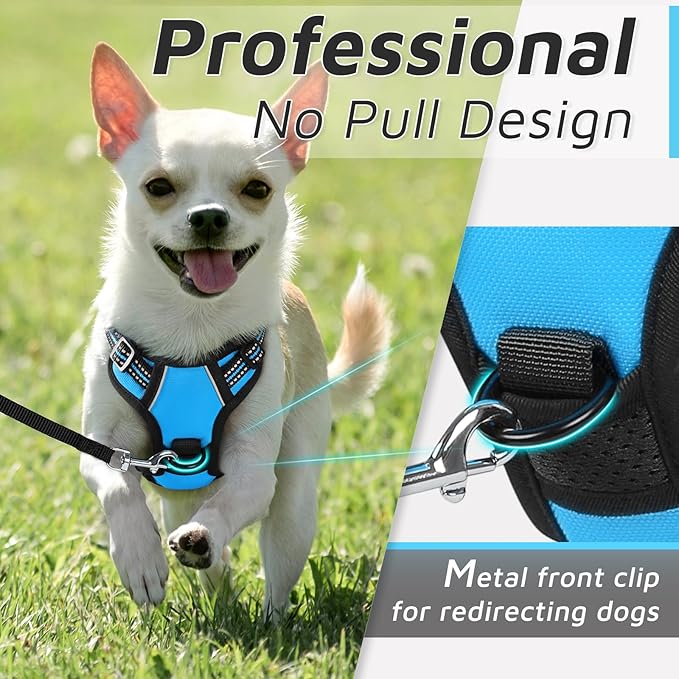 Eagloo Small Dog Harness No Pull, Service Vest with Reflective Strips and Control Handle, Adjustable and Comfortable for Walking, No Choke Pet Harness with 2 Metal Rings, Sky Blue, XS-PurrikoPets