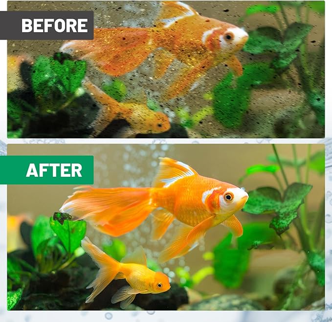 8 Count Medium Filter Cartridges Compatible with Whisper Bio Bag Filters, Large Aquarium Filter Cartridge for Whisper 10i/IQ10/PF10 and Repto Filter 90 GPH-PurrikoPets