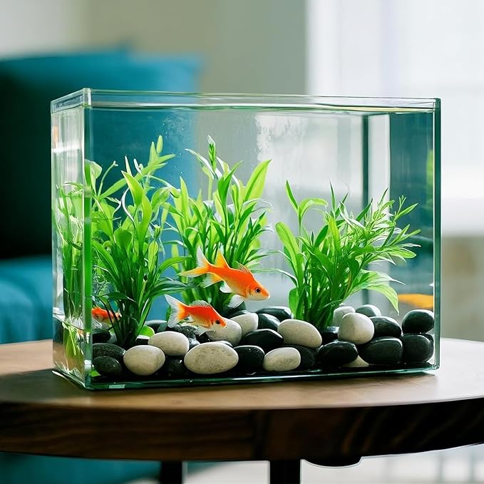 5 Lbs River Rocks for Plants,0.4-1.2 Inch Decorative Ornamental Pebbels, High Polished Stones for Garden Landscaping, Smooth Gravel Filler for Outdoor Plants, Succulents, Fish Tank and Vases, White-PurrikoPets