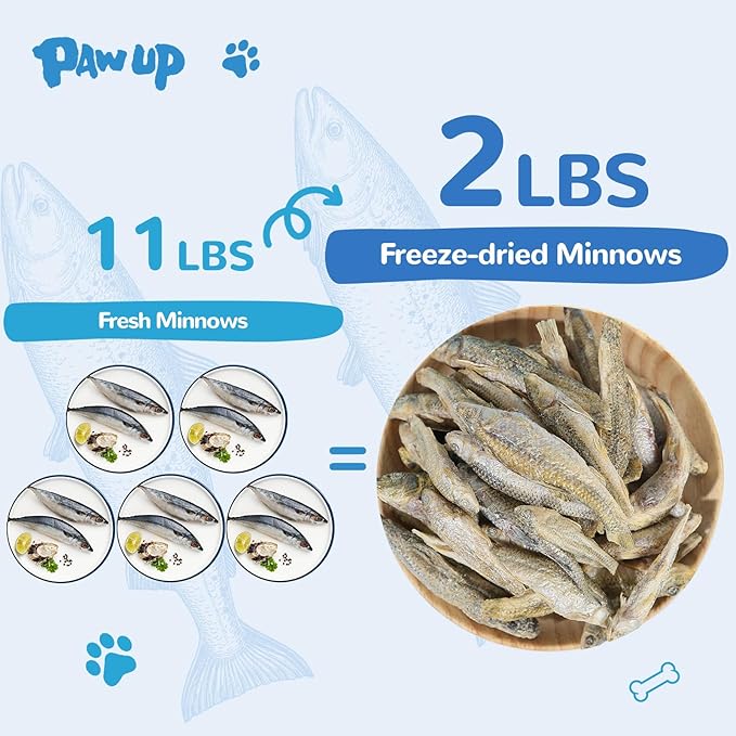 Freeze Dried Minnows Cat Treats – 100% Natural, Single-Ingredient Pet Snacks – Rich in Omega-3, Grain-Free – Healthy Training Rewards & Meal Toppers for Dogs & Cats, 2.8 oz-PurrikoPets