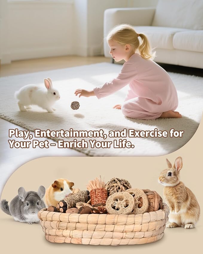 31PCS Rabbit Chew Treat Toys for Teeth Health, Natural Bunny Enrichment Toys for Boredom & Stress Relief, Keep Busy Toys for Guinea Pig Chinchilla Hamster Rat Gerbil Degu Indoor Outdoor-PurrikoPets